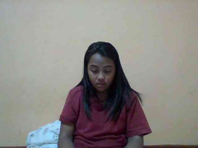 SunsetMonica webcam