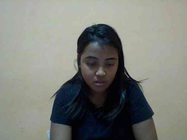 SunsetMonica webcam