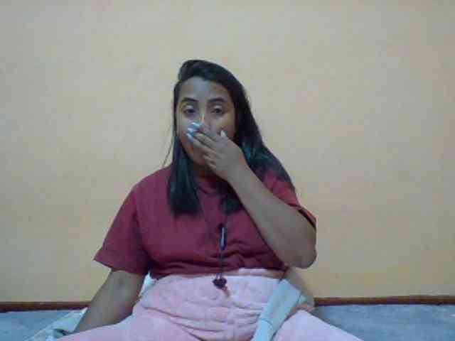 SunsetMonica webcam