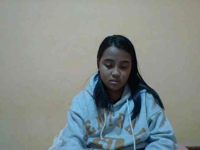 SunsetMonica webcam