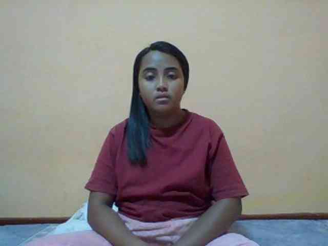 SunsetMonica webcam