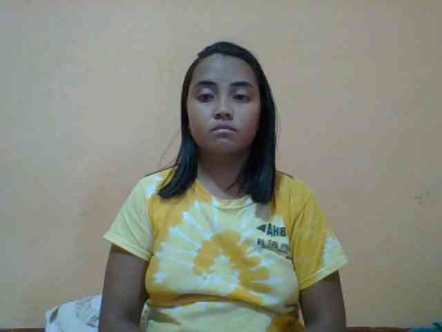 SunsetMonica webcam