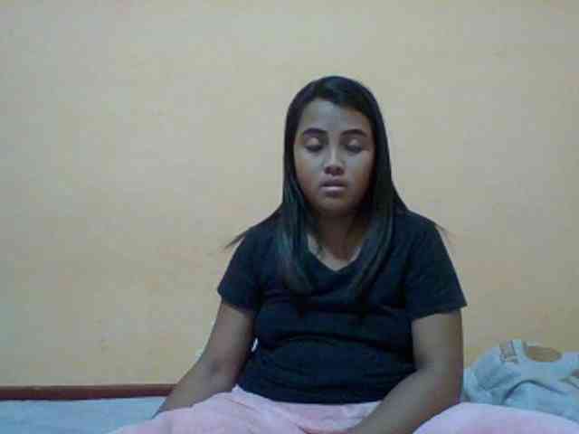 SunsetMonica webcam