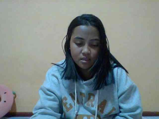 SunsetMonica webcam