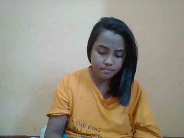 SunsetMonica webcam