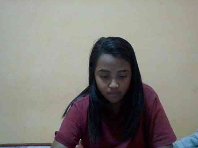 SunsetMonica webcam