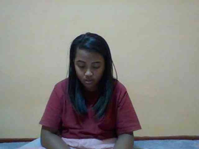 SunsetMonica webcam