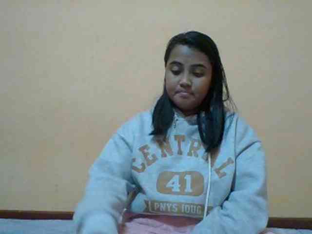 SunsetMonica webcam