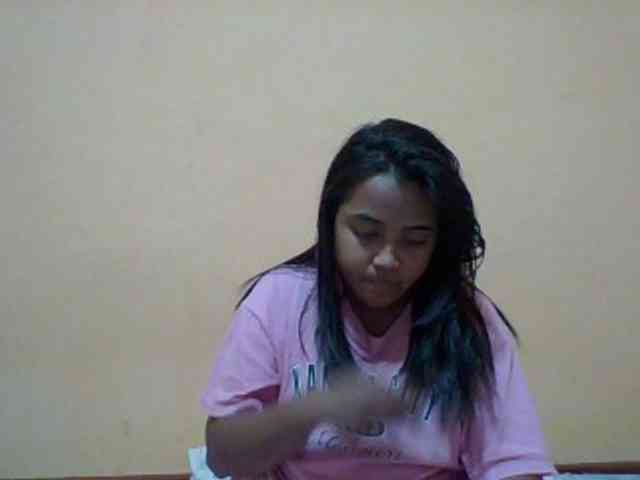 SunsetMonica webcam