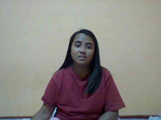 SunsetMonica webcam