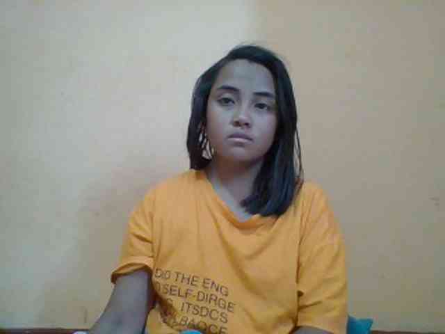 SunsetMonica webcam