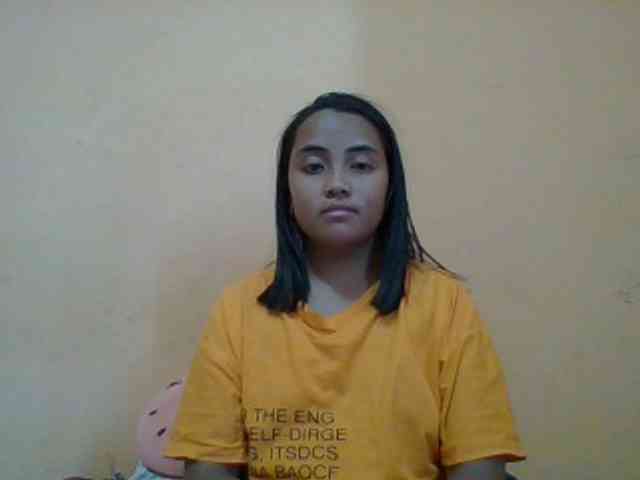 SunsetMonica webcam