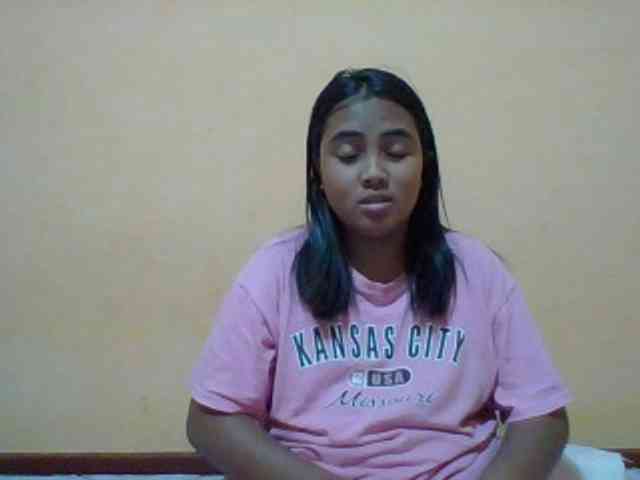 SunsetMonica webcam
