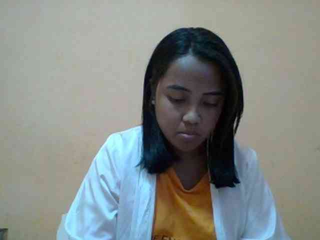 SunsetMonica webcam