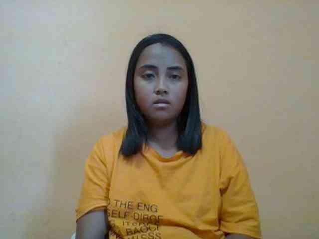 SunsetMonica webcam