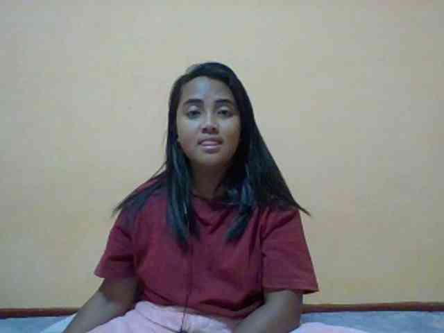 SunsetMonica webcam