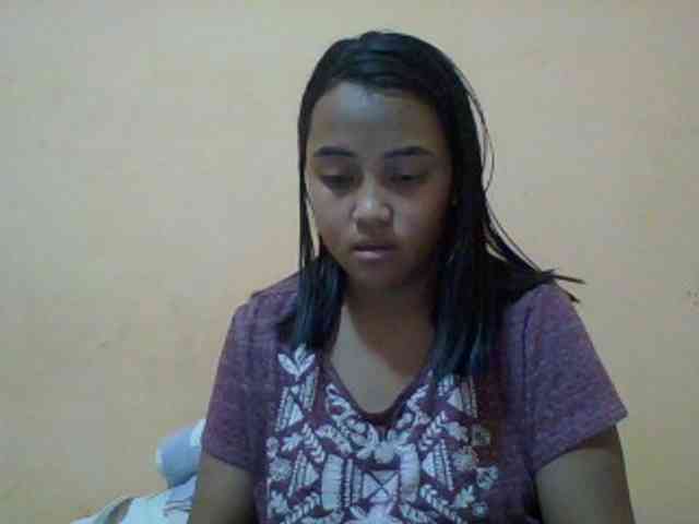 SunsetMonica webcam