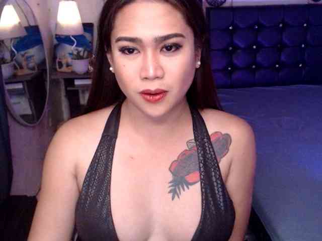 translynette Live Webcam on BongaCams translynette Live Webcam on BongaCams