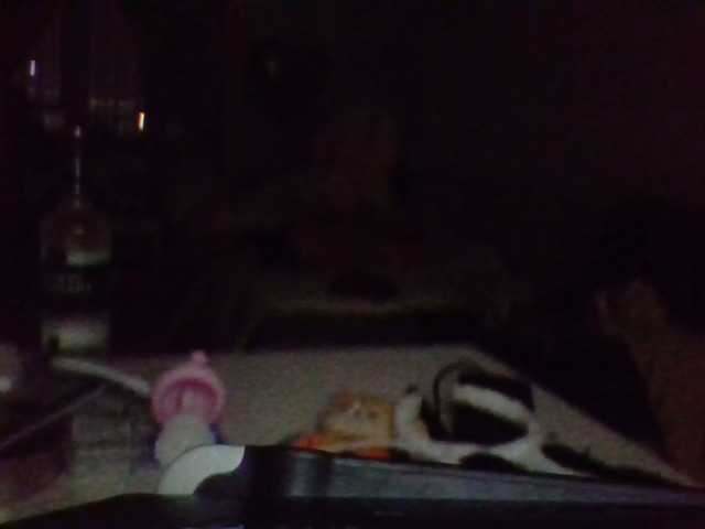 Valentina67's BongaCams show and profile