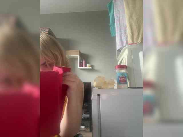 Kinesha webcam