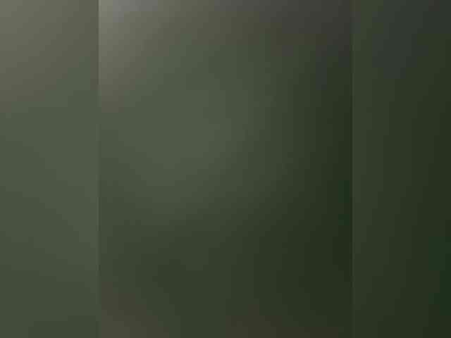 Kinesha webcam