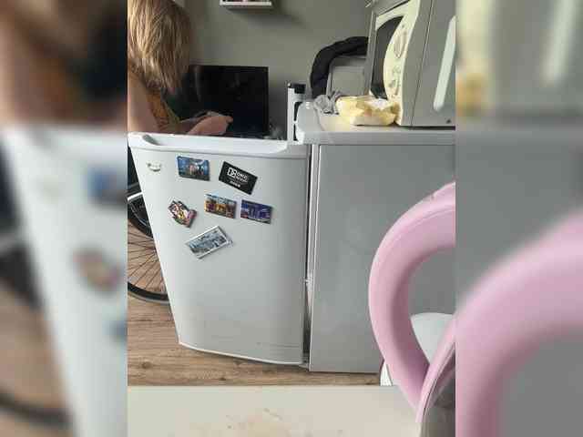 Kinesha webcam