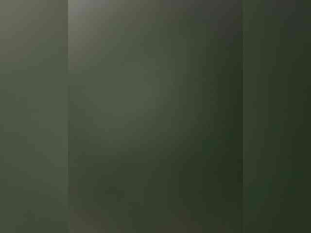 Kinesha webcam