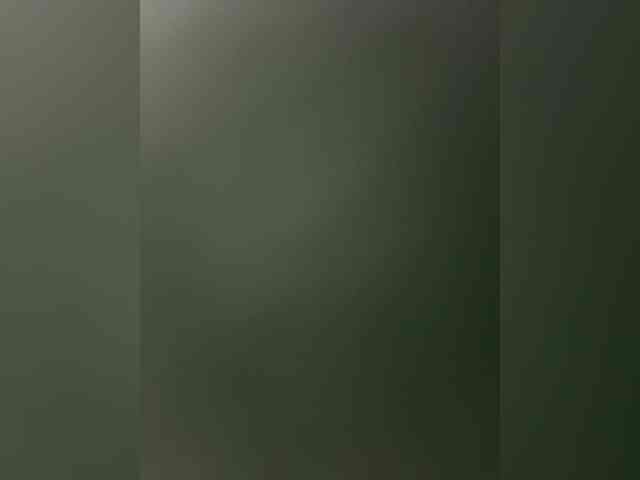 Kinesha webcam