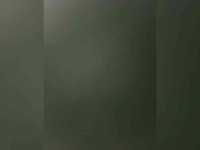 Kinesha webcam