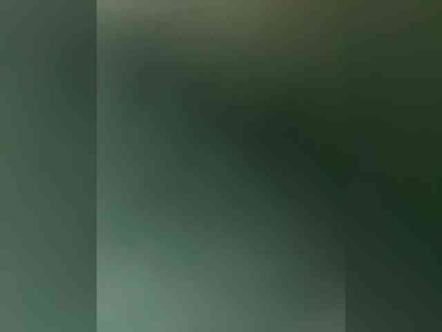 Kinesha webcam