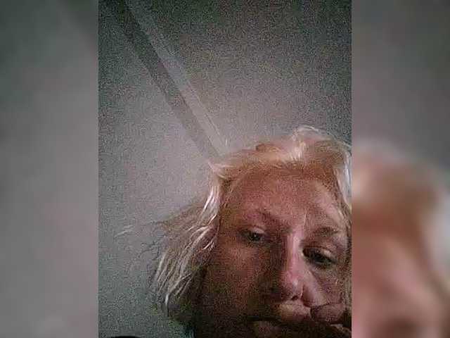 Nikyta