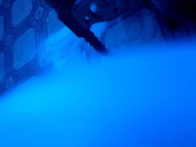 AlexaBaby989's BongaCams show and profile