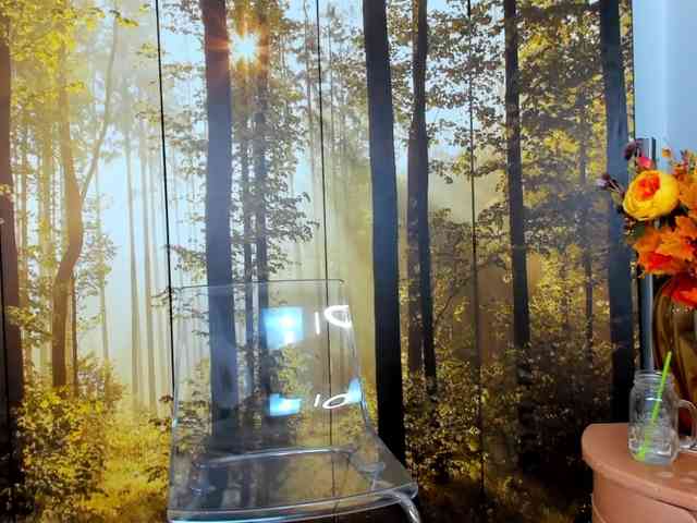 SatyneQueen SatyneQueen