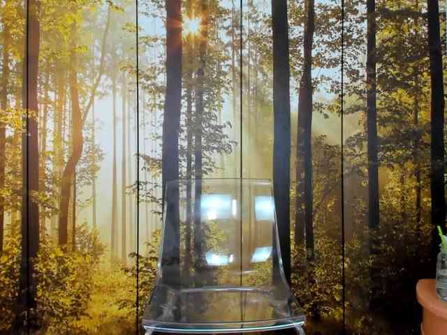 SatyneQueen SatyneQueen