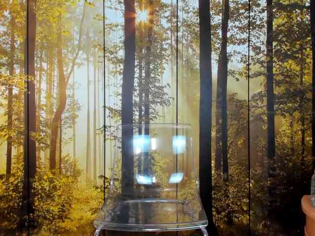 SatyneQueen SatyneQueen