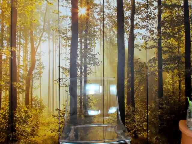 SatyneQueen SatyneQueen