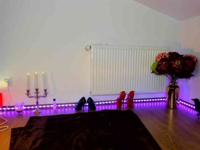 SatyneQueen SatyneQueen