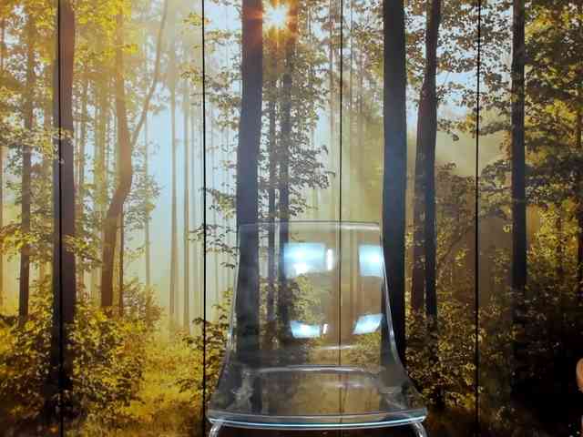 SatyneQueen SatyneQueen