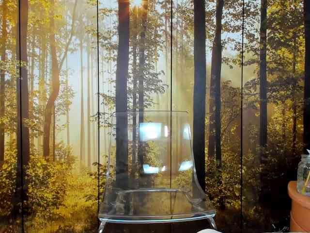 porno chat SatyneQueen