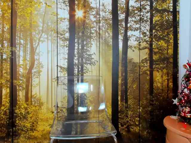 SatyneQueen SatyneQueen