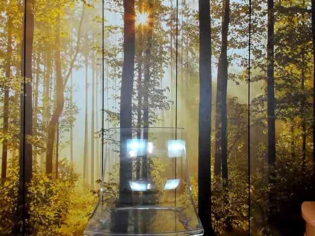 SatyneQueen SatyneQueen