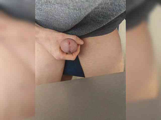 Denisspermastrel Denisspermastrel