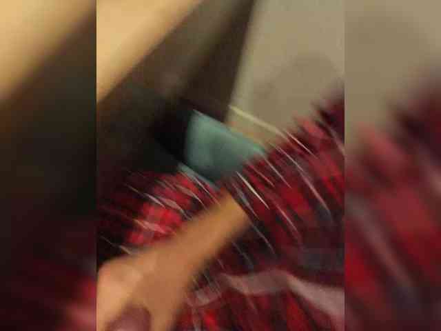 Denisspermastrel Denisspermastrel