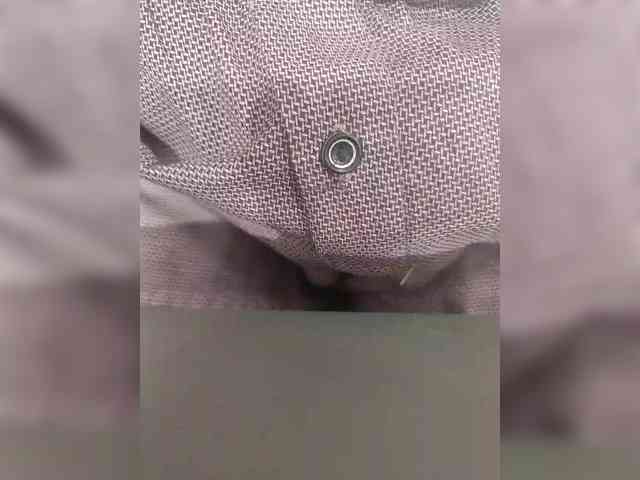 Denisspermastrel Denisspermastrel