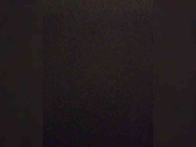 Denisspermastrel Denisspermastrel