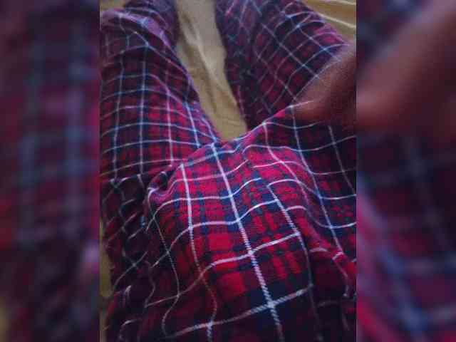 Denisspermastrel Denisspermastrel