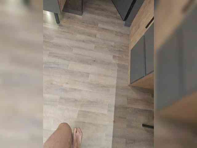 Denisspermastrel Denisspermastrel