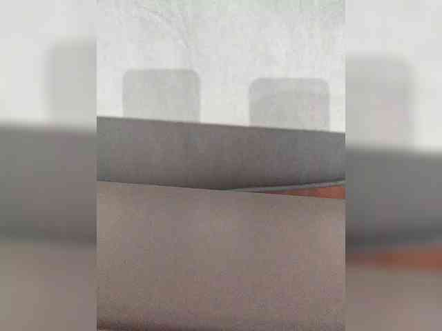 Denisspermastrel Denisspermastrel