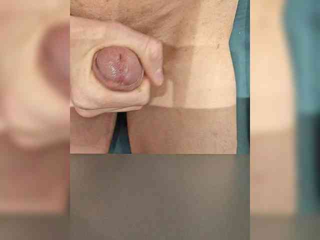 Denisspermastrel Denisspermastrel