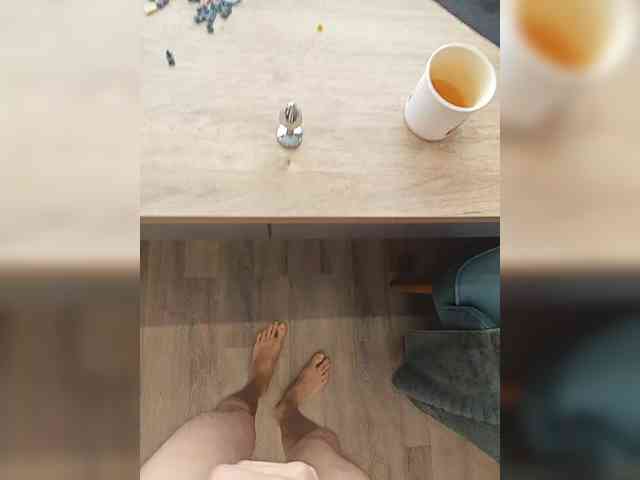 Denisspermastrel Denisspermastrel